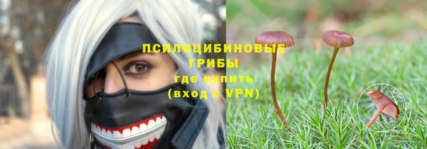 спиды Лиски