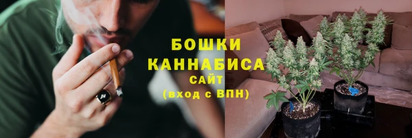 спиды Лиски