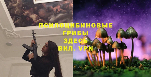 спиды Лиски