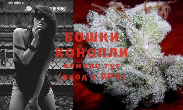 твердый Липки